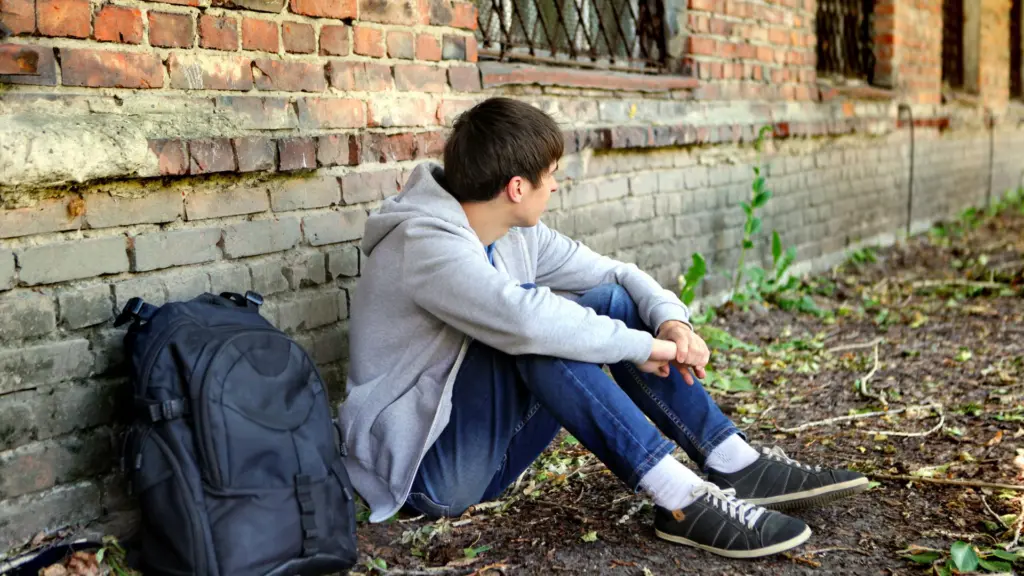 critical stage of brain development