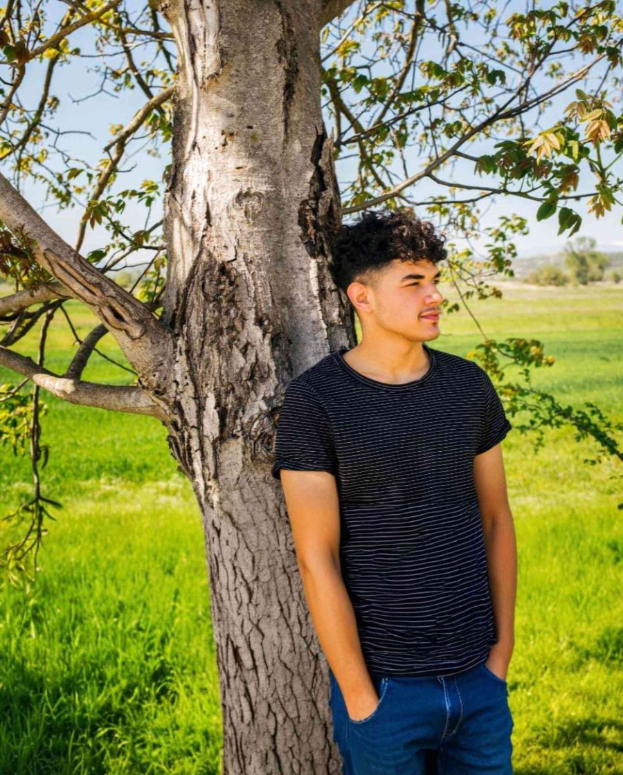 DBT Results for Teen